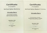 Система достижения целей Spiritual Option (Духовный Выбор)